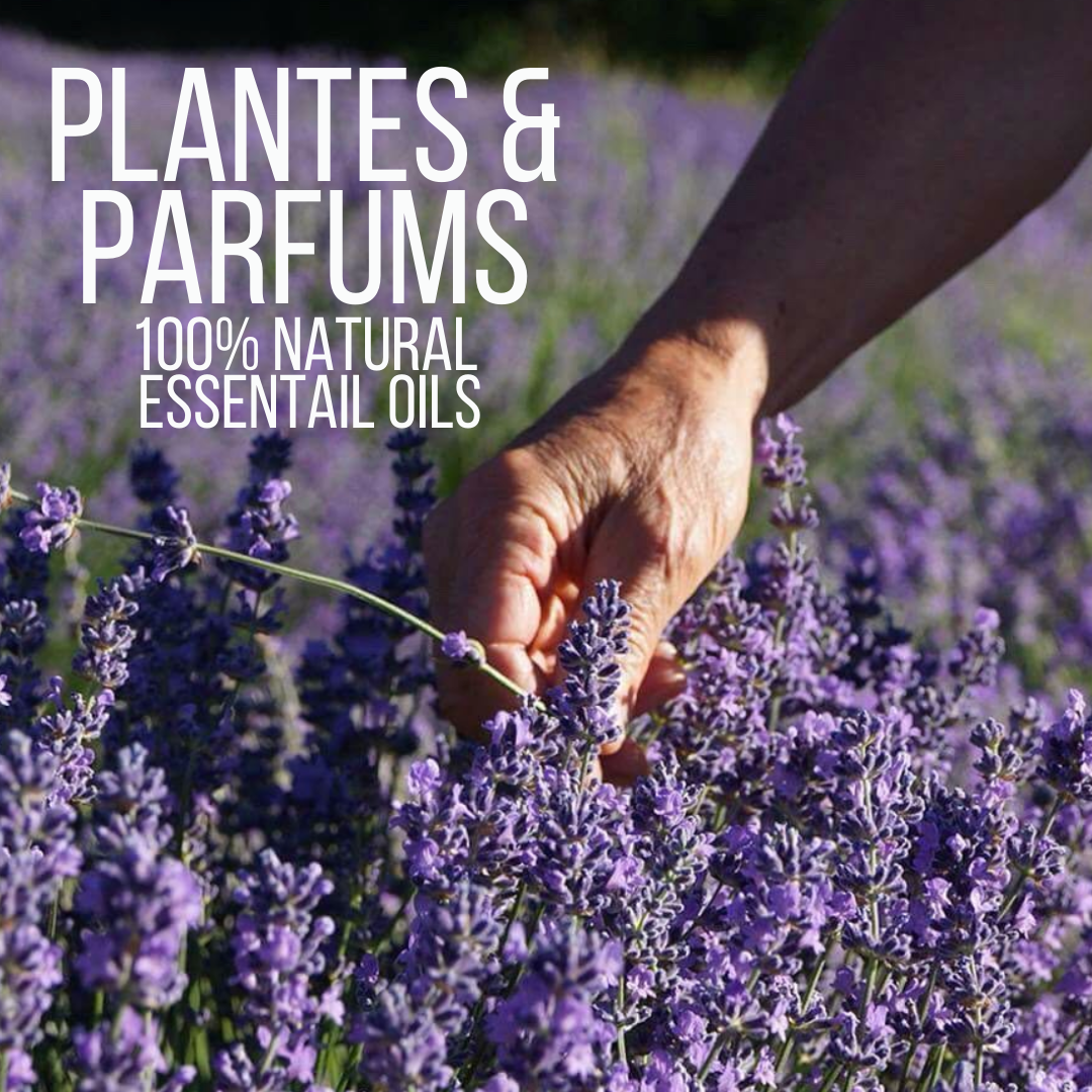 Plantes & Parfums - 100% Natural Essential Oils