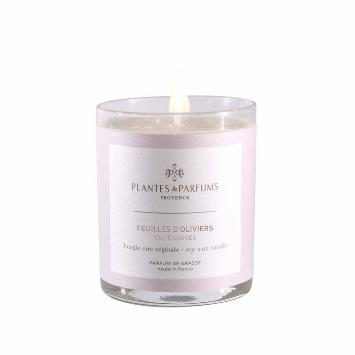 Plantes & Parfums - 180g Perfumed Hand Poured Candle - Olive Leaves