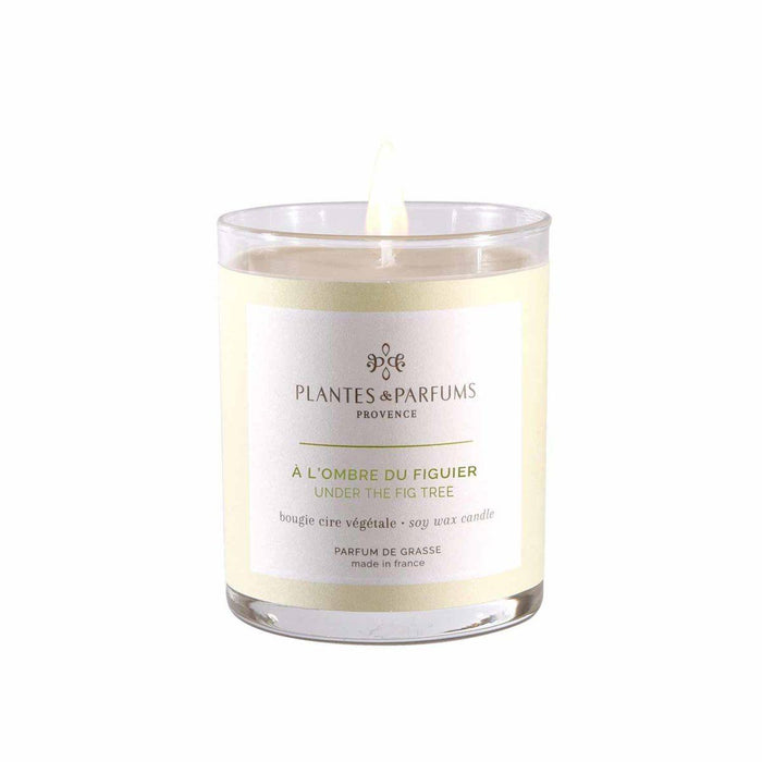 Plantes & Parfums - 180g Perfumed Hand Poured Candle - Under the Fig Tree