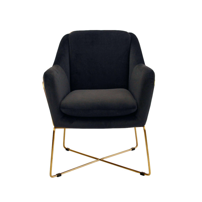 Milan Velvet Armchair - Black With Gold Frame